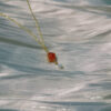 product10-04 Carnelian Planet and Star Pendant Necklace