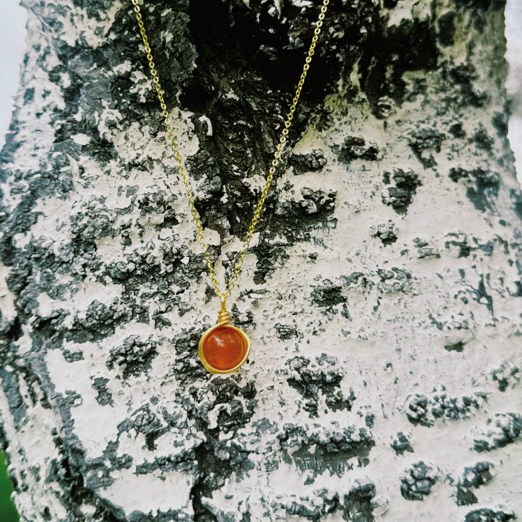 Tiger's Eye and Red Agate Round Pendant Necklace